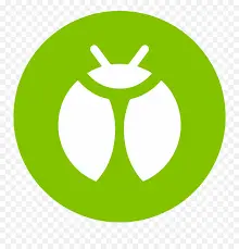 Bug