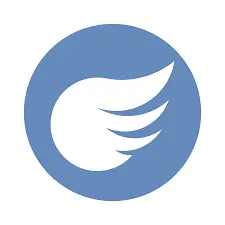 Flying type
